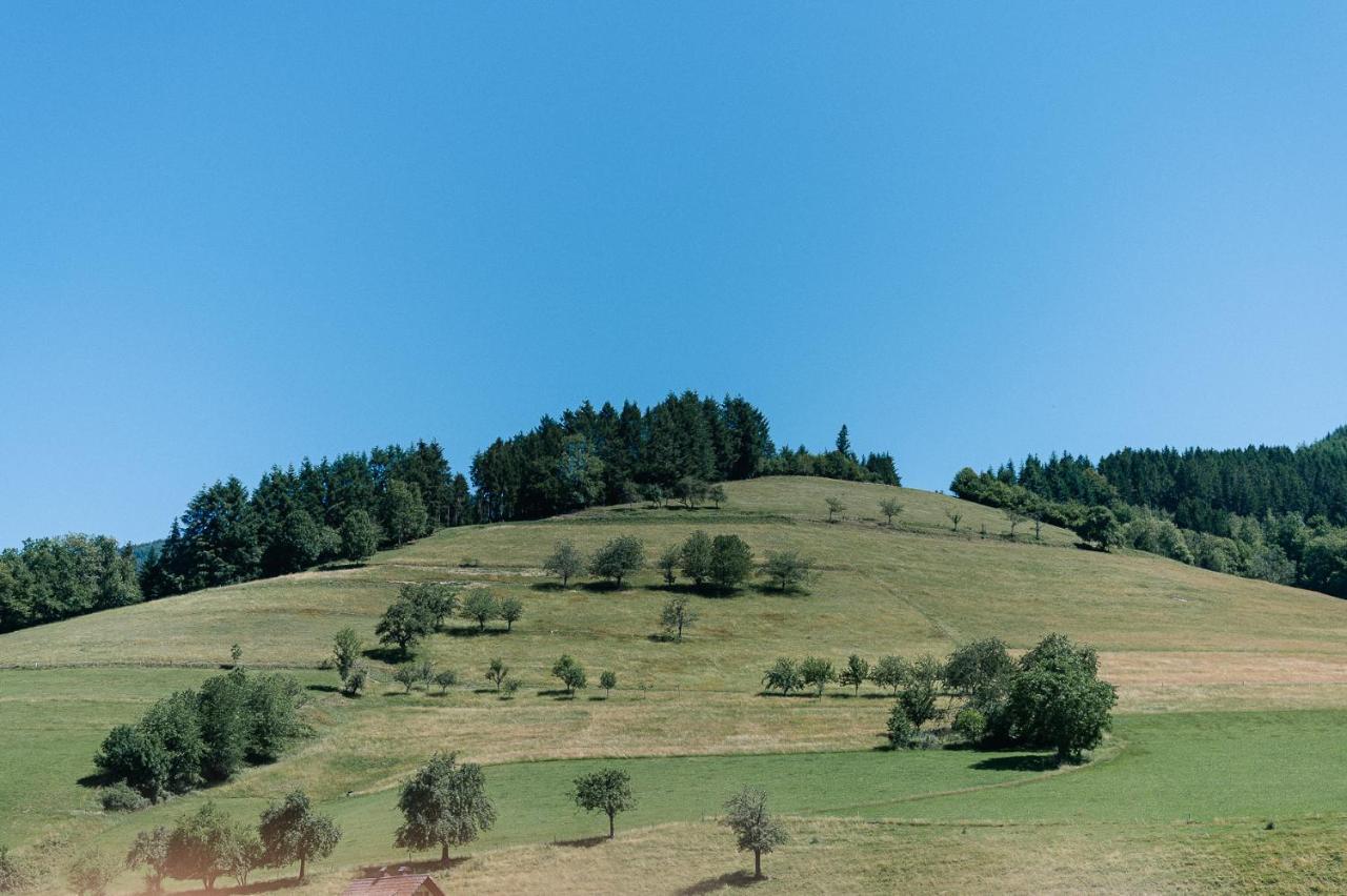 Moderne 2 Zi.-Fewo Blackforestart Naehe Freiburg Simonswald Luaran gambar