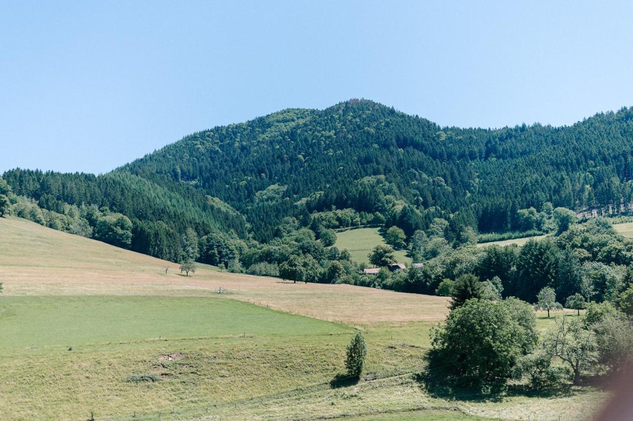 Moderne 2 Zi.-Fewo Blackforestart Naehe Freiburg Simonswald Luaran gambar